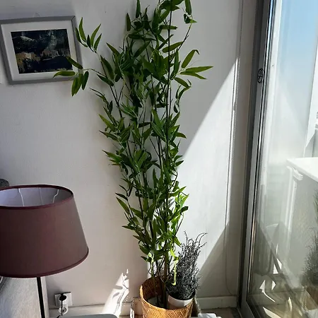 Tarik Vista Mar 波尔蒂芒